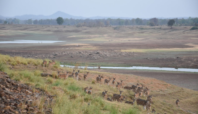 Madhya Pradesh India